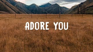 Harry Styles - Adore You (Lyrics)