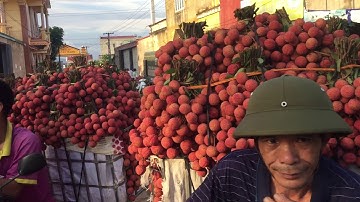 Cập nhật giá vải thiều lục ngạn sáng 17/6/2020 | Thanh hà giá 30k - 34k | Bản sắc miền núi