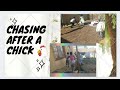Chasing after a CHICK 🤣🤣😅