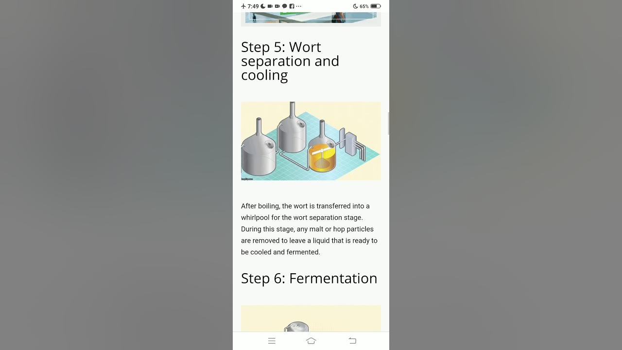Processing of alcoholic beverages YouTube