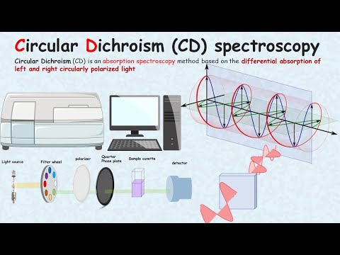 4 நிமிடங்களில் சர்குலர் டைக்ரோயிசம் ஸ்பெக்ட்ரோஸ்கோபி