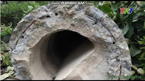 EVN tạm dừng sử dụng cột điện ly tâm dự ứng lực tại những vùng có bão