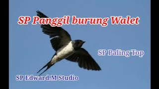 Suara panggil walet full Jernih , Sp paling top 2021