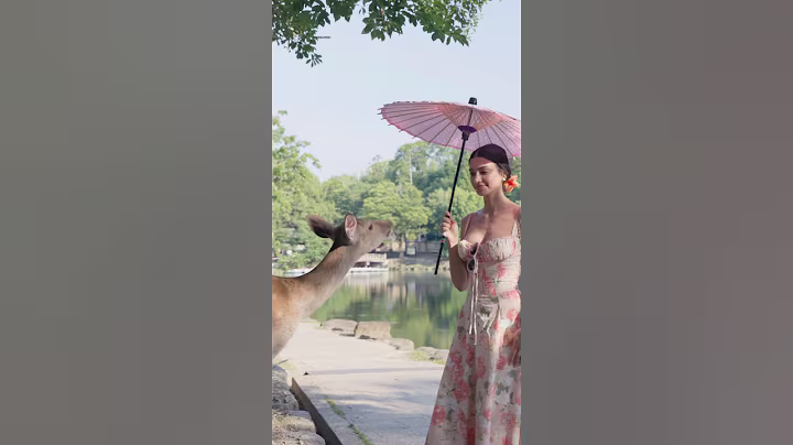 Even the deer in Japan are polite 🦌🇯🇵