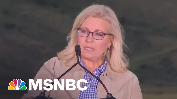 What Liz Cheney's Loss Says About The 'Insane In T...
