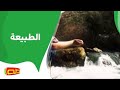 الطبيعة | أناشيد أطفال