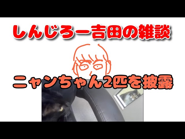 ＜雑談＞いつも通りアニメやゲームの話をしたり最後にニャンちゃん2匹を披露したりするしんじろー吉田 2026/05/16配信【公認_しんじろー吉田切り抜き/雑談】