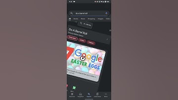Google Trick | Do A Barrel Roll #shorts #viral