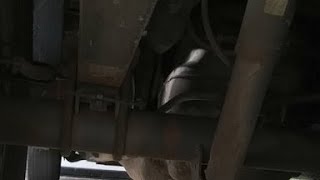 Dodge Dakota Rear Bumper