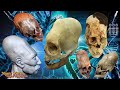 Mysterious Elongated Skulls of Paracas, The Anomalous DNA Revealed! feat. Brien Foerster