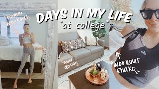 college vlog: new workout (at home), apartment updates + haul