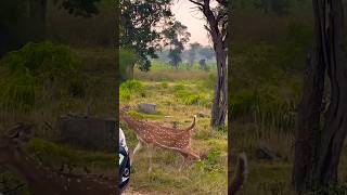 Do Not Feed Wild Life 🚫🙅