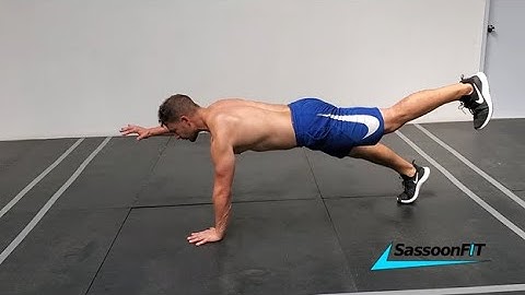 Beginner Core Exercises to Stop Back Pain | Anti-Rotation Workout for Stability & Posture