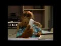 Alf  funny donald trump reference  alf gordon shumway