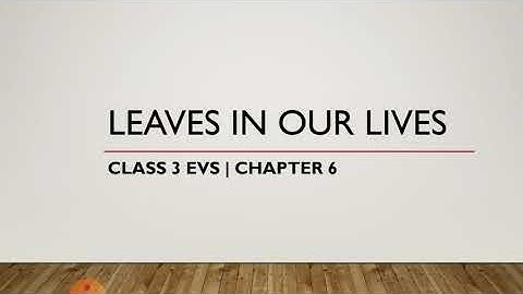Class 3 EVS | Chapter 6 : Leaves in our lives