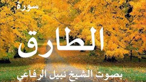 سورة الطارق بصوت الشيخ   نبيل الرفاعي 86