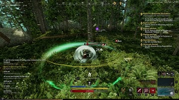 New World PvP crazy damage [Fire Staff/Great Axe/Rapier] #2