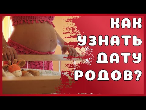 Как вычислить срок родов