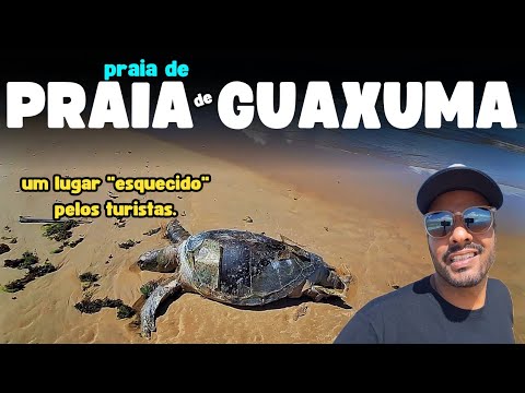 GUAXUMA Beach in Maceió, Alagoas. Why do tourists NOT visit this beach? I went to find out!!!