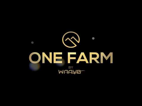 One Farm by WAAYB November Video