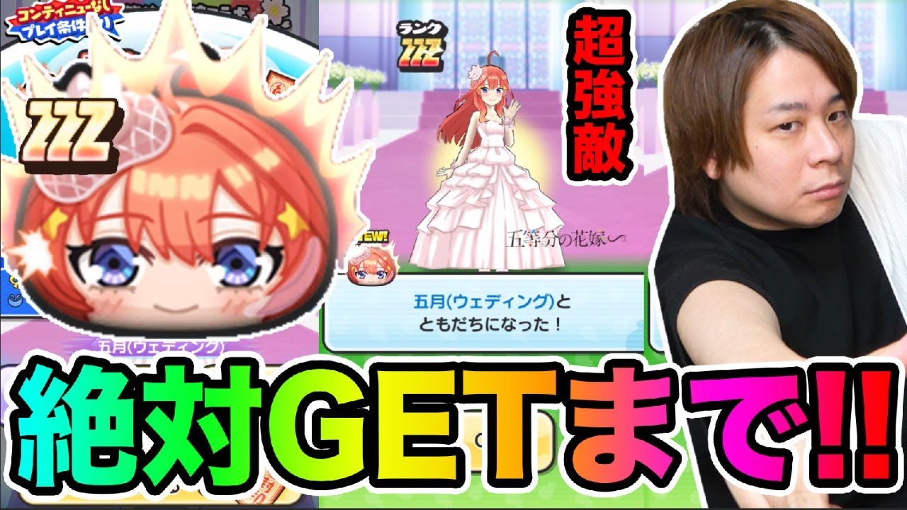 ぷにぷに「ZZZ五月(ウェディング)GETできるまで終われません