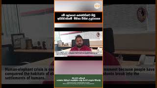 මේ ලෝකයේ සත්ත්වයින්ට තිබූ අයිතිවාසිකම්  මිනිසා විසින් උදුරාගෙන #shorts