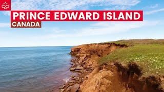 Canada Road Trip: Best Things To Do In Prince Edward Island