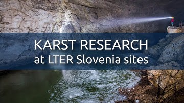 Karst research at LTER Slovenia sites