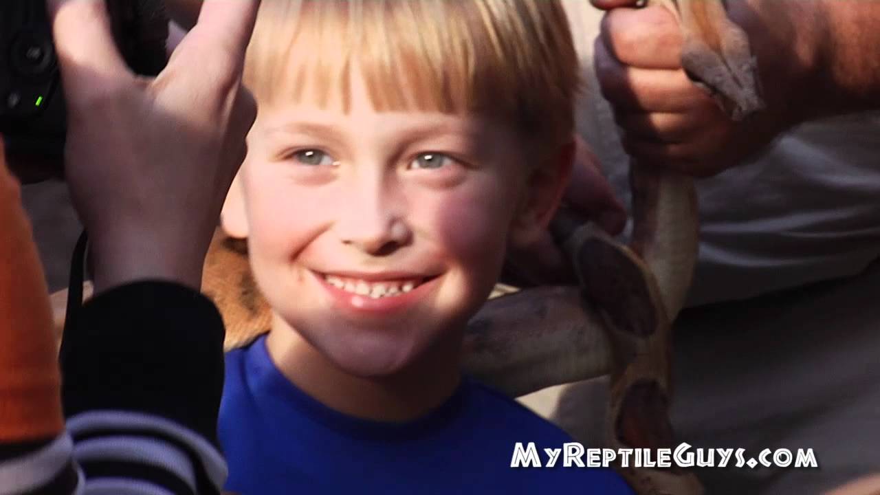 My Reptile Guys - Parties Commercial (0:30 TRT) - YouTube