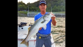 Striper Fishing with Capt. Todd Asher and In The Spread