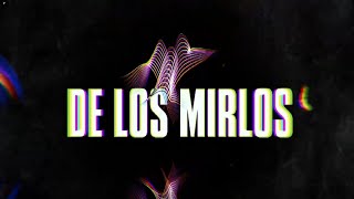 La Danza de los Mirlos Remix - El Jarra Remix │ CUMBIAS DE ORO