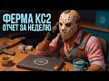 СКОЛЬКО ЗАРАБОТАЛА МОЯ ФЕРМА CS2 ЗА 2 НЕДЕЛИ? (100 АККАУНТОВ)