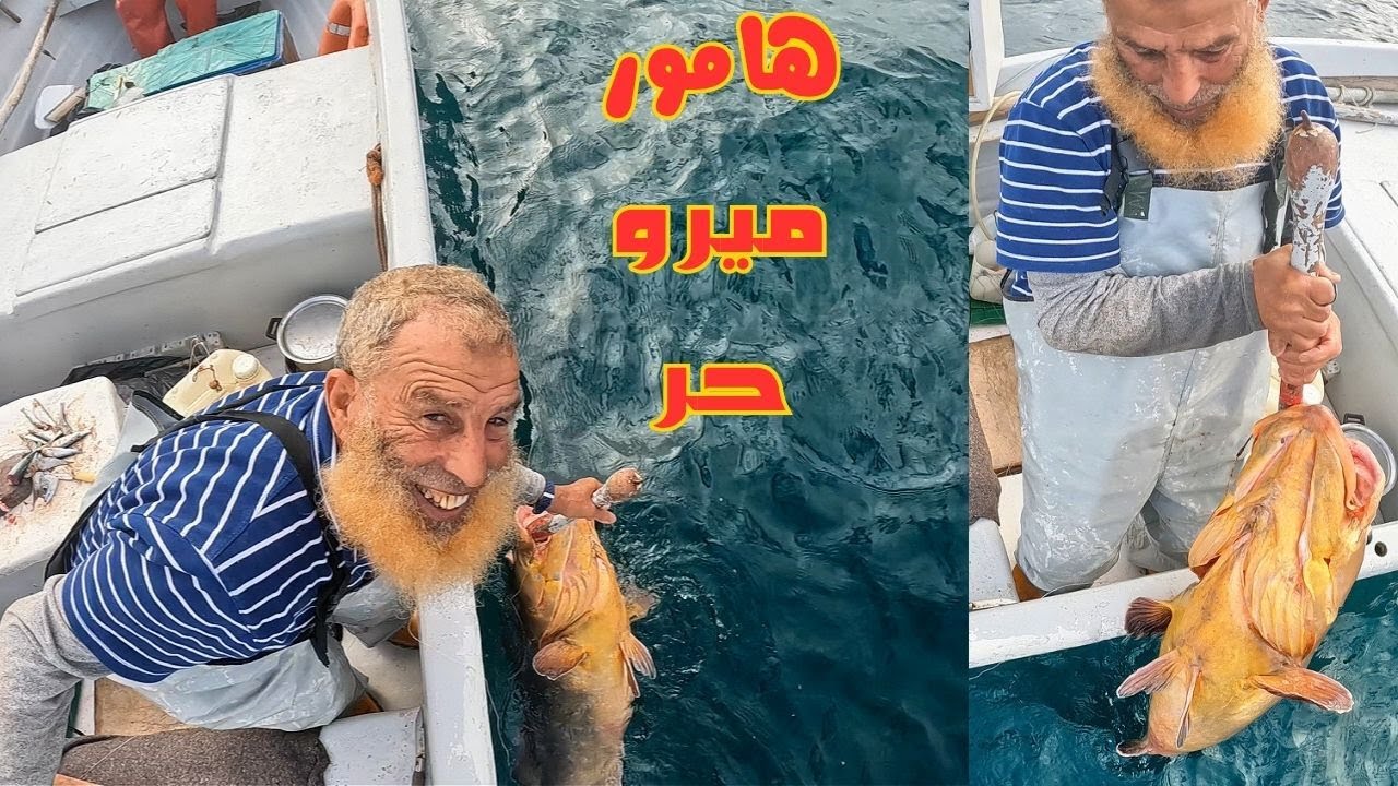 Сюрприз! Свободно плавающий групер цеплялся за дно. Как капитану удалось его вытащить?!