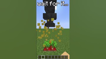 Minecraft Logic is So Bad #shorts