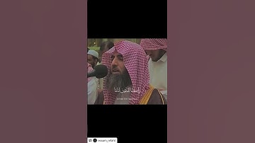 القران الكريم #القرآن_الكريم #اكسبلور #لايك #غزة #فلسطين #راحة_نفسية