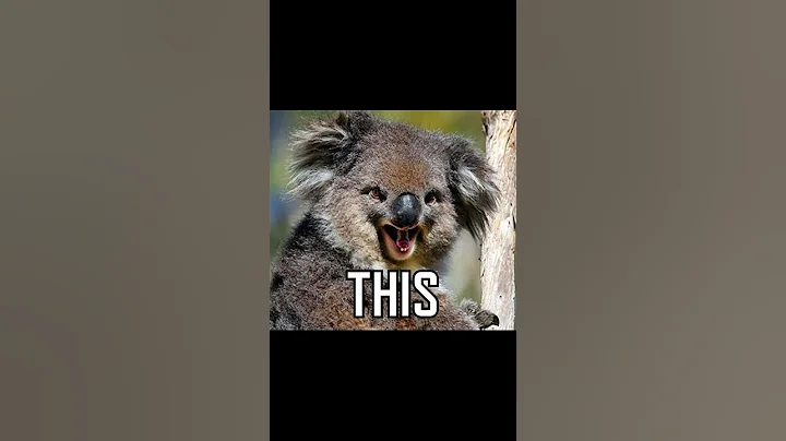 Australia's most DANGEROUS animal