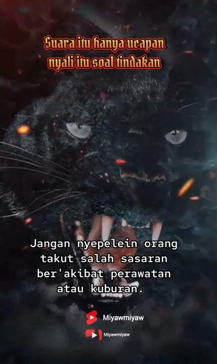 story wa macan kumbang marah #shorts