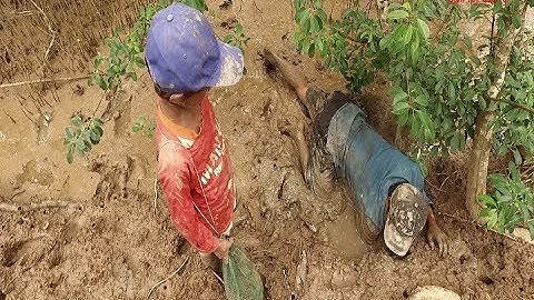Miền tây quê tôi - Tập 65 - Đi móc cua biển trong rừng ngập mặn [Catch BIG Crab in VIETNAM]