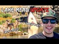 Lake Mead UPDATE!!! Has the Water Stopped Rising?