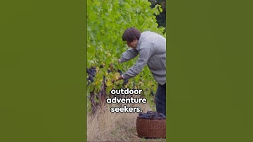 Oregon in a Minute: Must-See Attractions #travel #shorts #oregon