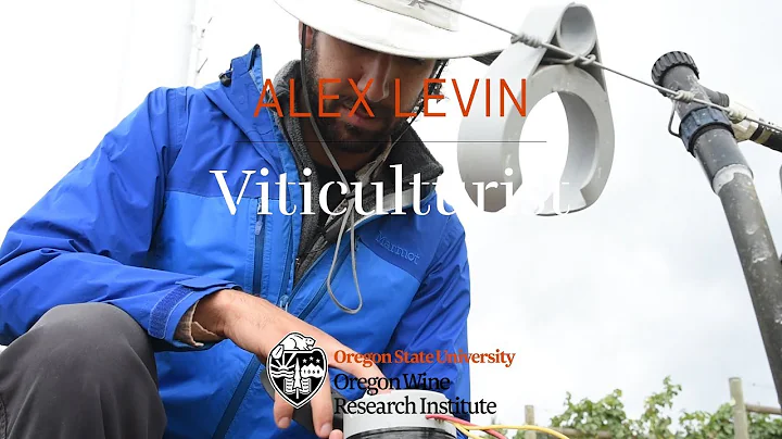 Alec Levin, Viticulturist