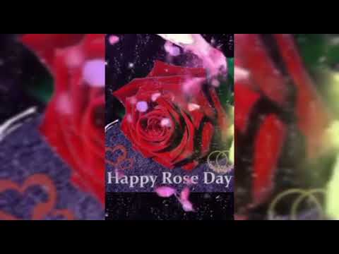 🌹🌹happy rose 🌹 day|rose day status2022 || rose day whatsapp status coming soon rose day  2022