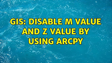 GIS: disable M value and Z value by using arcpy