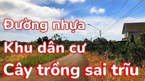 Đẳng cấp 1, 5 ha đất vườn, nhà ở, đường nhựa gần trung tâm, Cà phê, Hồ tiêu, Sầu riêng