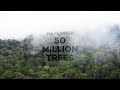 How 50 million trees have changed the world