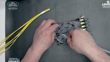 How to Terminate Leviton SDX MPO Splice Modules