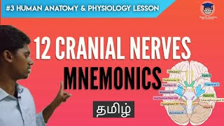 #3 Cranial Nerves Mnemonics | தமிழில்