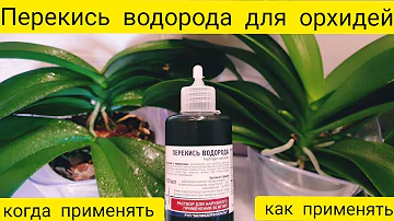 Перекись водорода для орхидей || Как применять перекись для орхидей