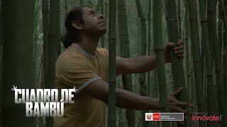 Cuadro de Bambú - Teaser