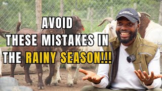 BEST AGRICULTURAL PRACTICES IN THE RAINY SEASON FOR MAXIMUM YIELD| Farming In Africa